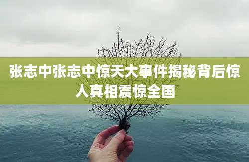 张志中张志中惊天大事件揭秘背后惊人真相震惊全国