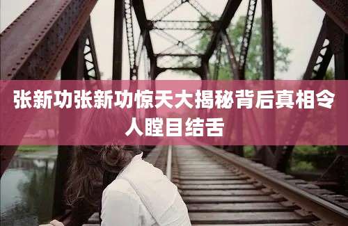 张新功张新功惊天大揭秘背后真相令人瞠目结舌