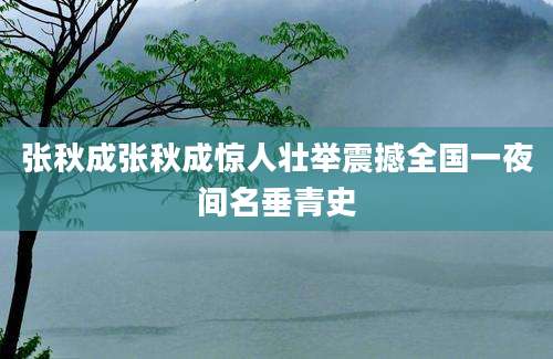 张秋成张秋成惊人壮举震撼全国一夜间名垂青史