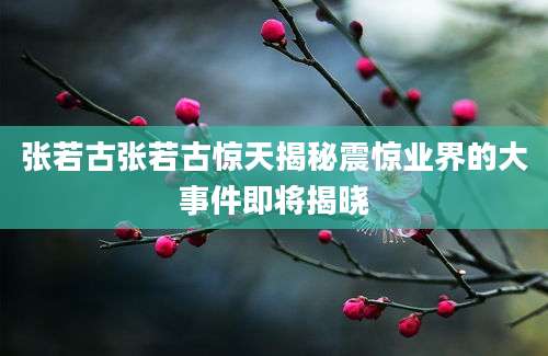 张若古张若古惊天揭秘震惊业界的大事件即将揭晓