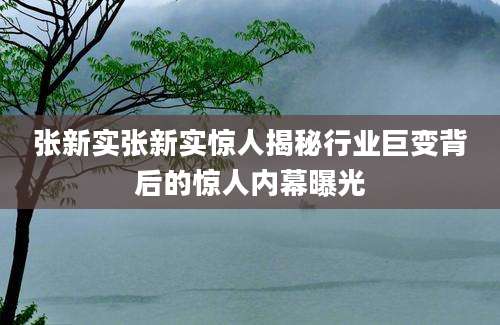 张新实张新实惊人揭秘行业巨变背后的惊人内幕曝光