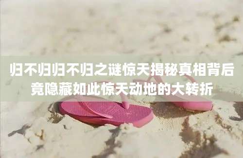 归不归归不归之谜惊天揭秘真相背后竟隐藏如此惊天动地的大转折