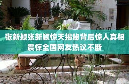 张新颖张新颖惊天揭秘背后惊人真相震惊全国网友热议不断