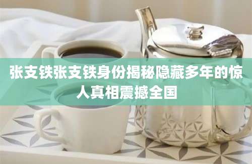 张支铁张支铁身份揭秘隐藏多年的惊人真相震撼全国
