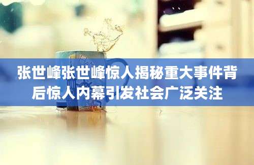 张世峰张世峰惊人揭秘重大事件背后惊人内幕引发社会广泛关注
