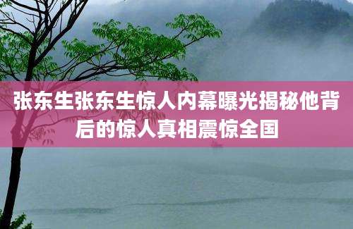 张东生张东生惊人内幕曝光揭秘他背后的惊人真相震惊全国