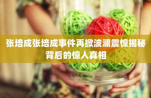 张培成张培成事件再掀波澜震惊揭秘背后的惊人真相