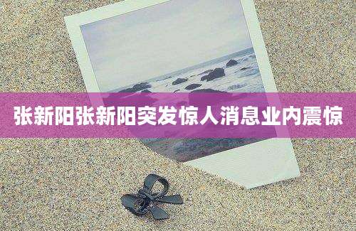 张新阳张新阳突发惊人消息业内震惊
