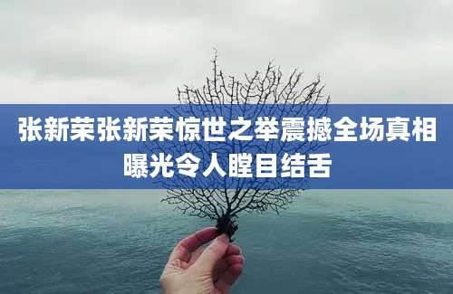 张新荣张新荣惊世之举震撼全场真相曝光令人瞠目结舌