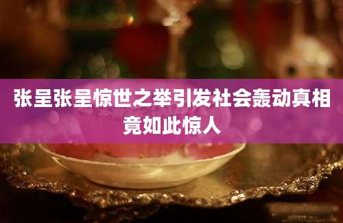 张呈张呈惊世之举引发社会轰动真相竟如此惊人