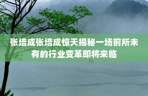 张培成张培成惊天揭秘一场前所未有的行业变革即将来临