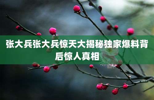 张大兵张大兵惊天大揭秘独家爆料背后惊人真相