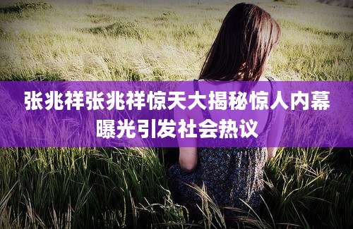 张兆祥张兆祥惊天大揭秘惊人内幕曝光引发社会热议