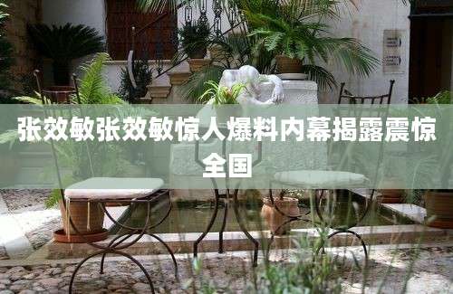 张效敏张效敏惊人爆料内幕揭露震惊全国
