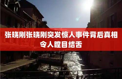 张晓刚张晓刚突发惊人事件背后真相令人瞠目结舌