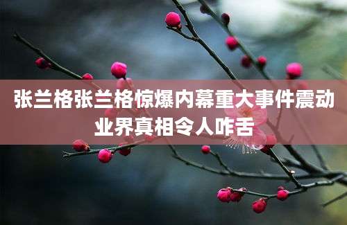 张兰格张兰格惊爆内幕重大事件震动业界真相令人咋舌