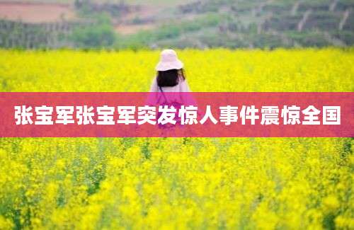 张宝军张宝军突发惊人事件震惊全国