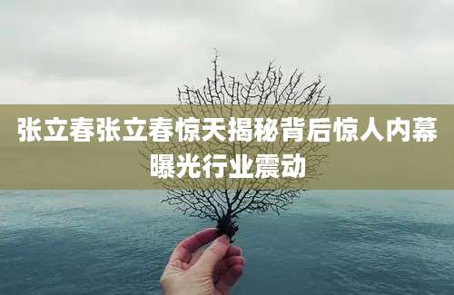 张立春张立春惊天揭秘背后惊人内幕曝光行业震动