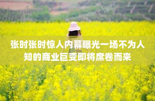 张时张时惊人内幕曝光一场不为人知的商业巨变即将席卷而来