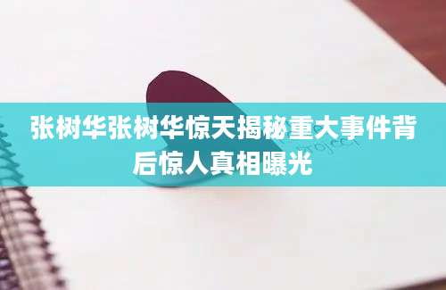 张树华张树华惊天揭秘重大事件背后惊人真相曝光