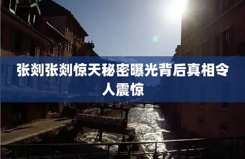 张剡张剡惊天秘密曝光背后真相令人震惊