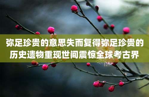 弥足珍贵的意思失而复得弥足珍贵的历史遗物重现世间震惊全球考古界