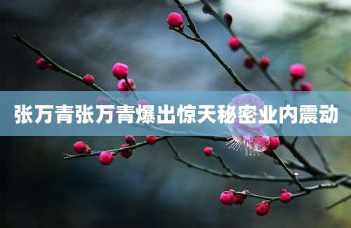 张万青张万青爆出惊天秘密业内震动
