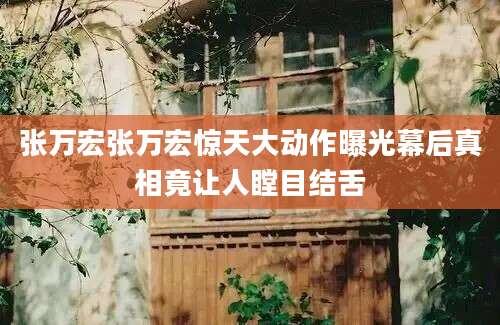 张万宏张万宏惊天大动作曝光幕后真相竟让人瞠目结舌