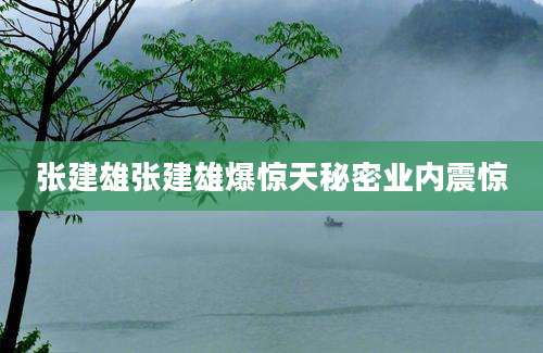 张建雄张建雄爆惊天秘密业内震惊