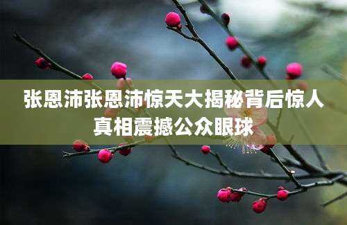 张恩沛张恩沛惊天大揭秘背后惊人真相震撼公众眼球