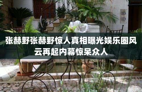 张赫野张赫野惊人真相曝光娱乐圈风云再起内幕惊呆众人