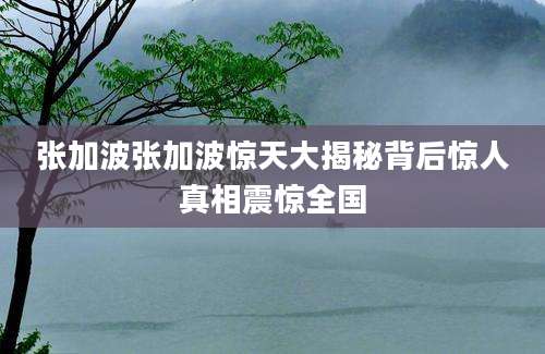 张加波张加波惊天大揭秘背后惊人真相震惊全国