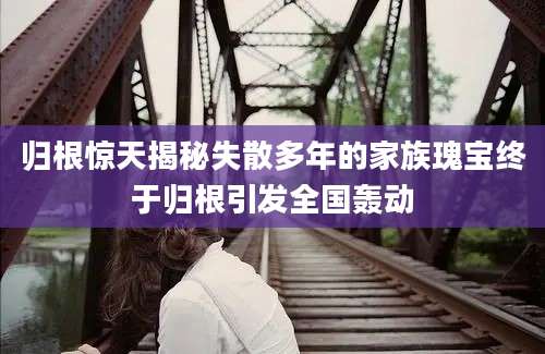 归根惊天揭秘失散多年的家族瑰宝终于归根引发全国轰动