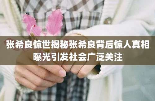 张希良惊世揭秘张希良背后惊人真相曝光引发社会广泛关注