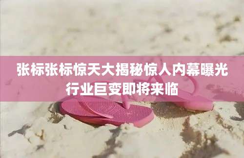 张标张标惊天大揭秘惊人内幕曝光行业巨变即将来临