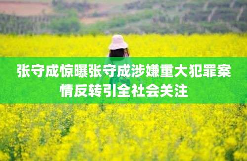 张守成惊曝张守成涉嫌重大犯罪案情反转引全社会关注