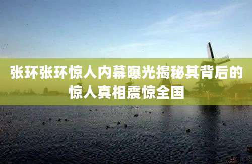 张环张环惊人内幕曝光揭秘其背后的惊人真相震惊全国