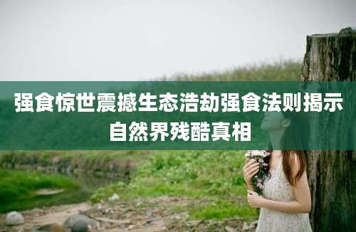 强食惊世震撼生态浩劫强食法则揭示自然界残酷真相