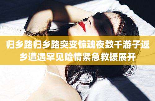 归乡路归乡路突变惊魂夜数千游子返乡遭遇罕见险情紧急救援展开