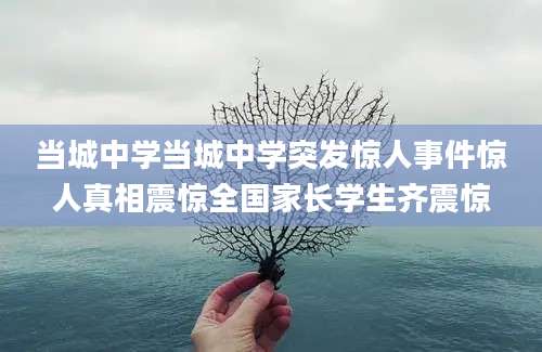 当城中学当城中学突发惊人事件惊人真相震惊全国家长学生齐震惊