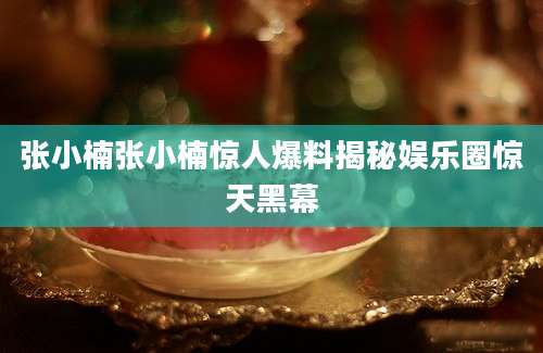 张小楠张小楠惊人爆料揭秘娱乐圈惊天黑幕