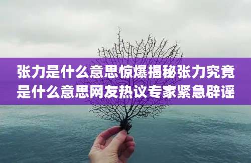 张力是什么意思惊爆揭秘张力究竟是什么意思网友热议专家紧急辟谣