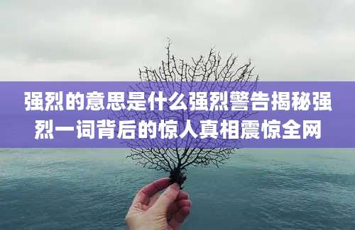 强烈的意思是什么强烈警告揭秘强烈一词背后的惊人真相震惊全网