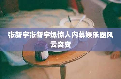 张新宇张新宇爆惊人内幕娱乐圈风云突变