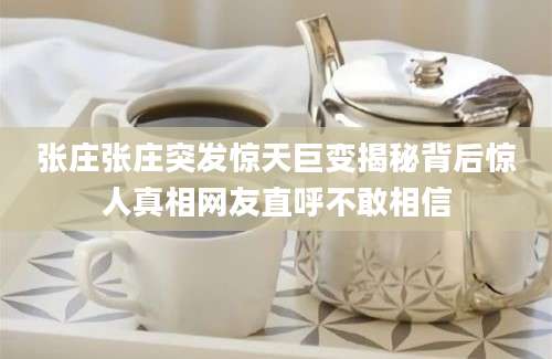 张庄张庄突发惊天巨变揭秘背后惊人真相网友直呼不敢相信