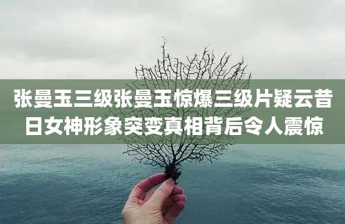 张曼玉三级张曼玉惊爆三级片疑云昔日女神形象突变真相背后令人震惊