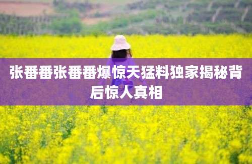 张番番张番番爆惊天猛料独家揭秘背后惊人真相
