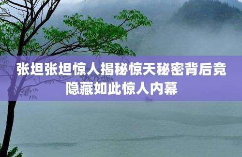 张坦张坦惊人揭秘惊天秘密背后竟隐藏如此惊人内幕