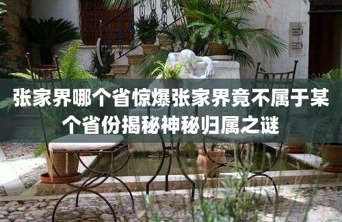 张家界哪个省惊爆张家界竟不属于某个省份揭秘神秘归属之谜
