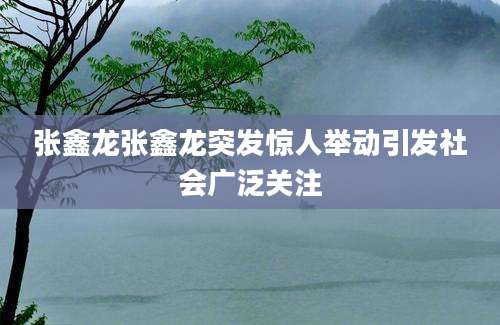 张鑫龙张鑫龙突发惊人举动引发社会广泛关注